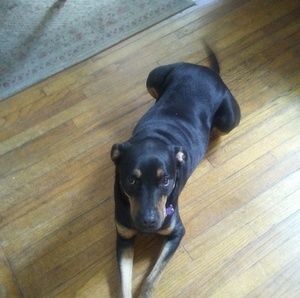 Meet your Posher, Edward